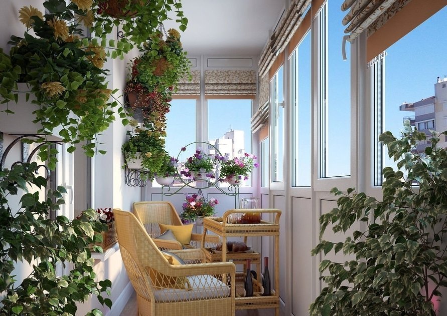 Цветы На Застекленном Балконе Фото