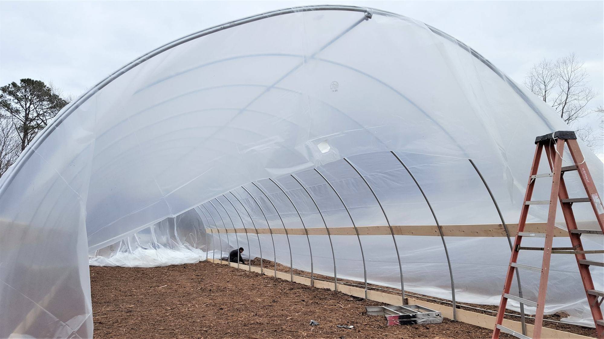 Plastic film Greenhouse