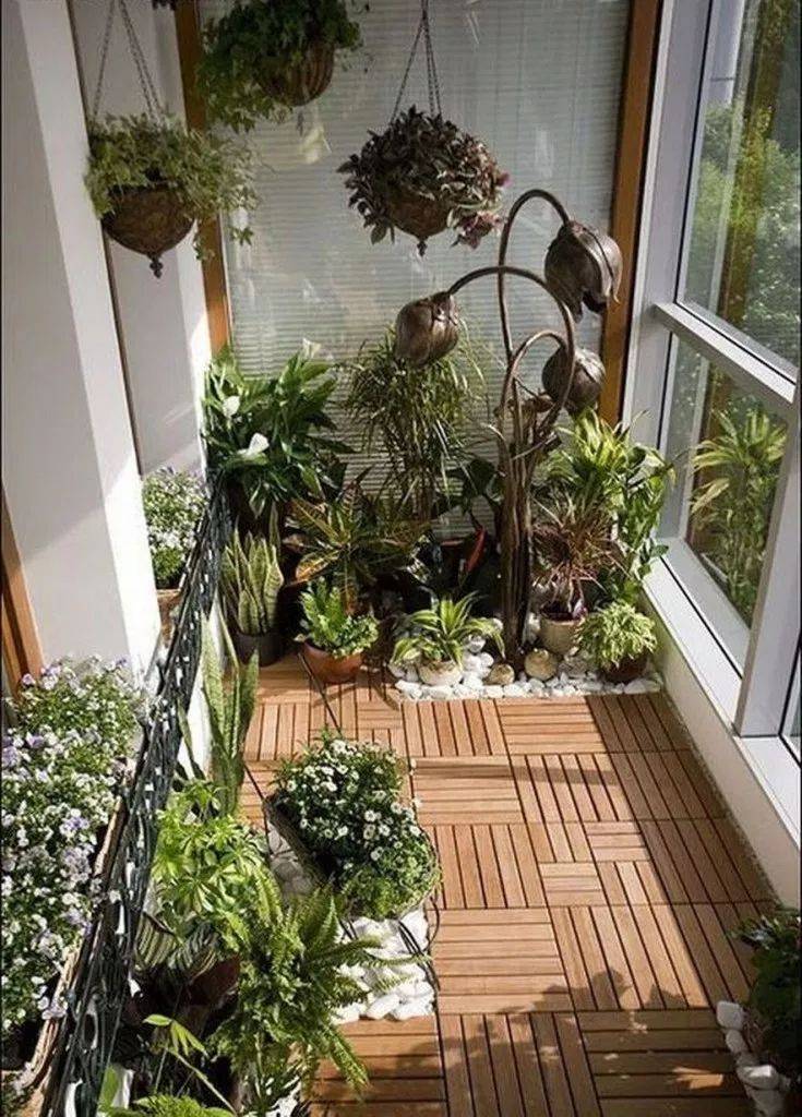 Зимний сад на балконе или озеленение балкона своими руками — викистрой