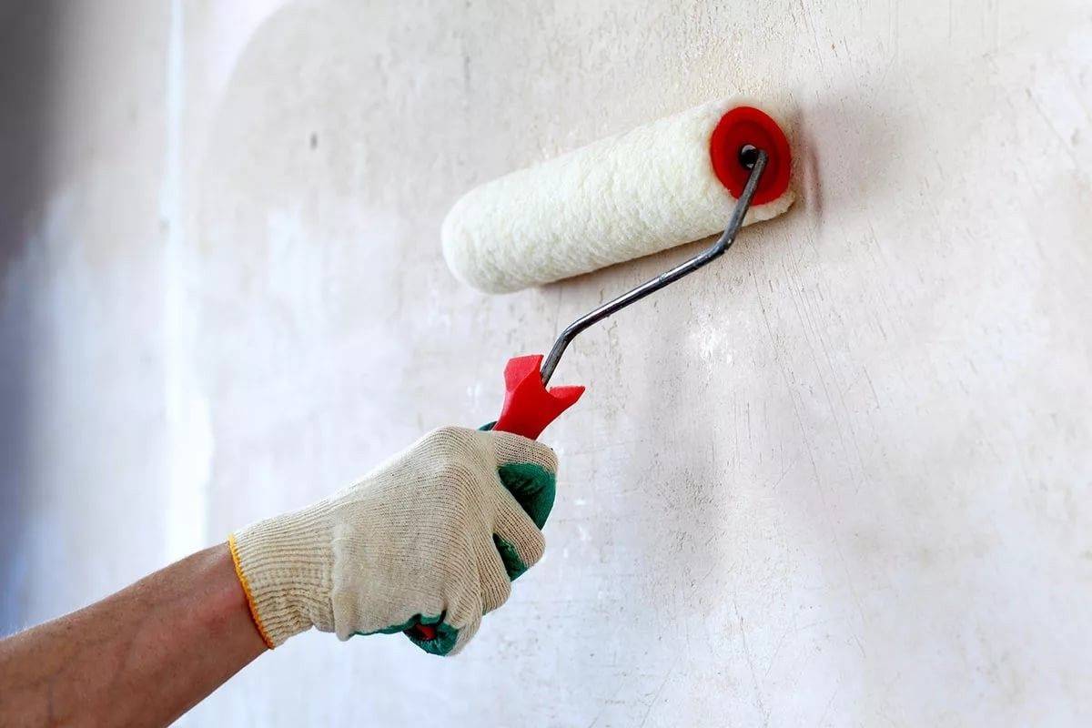 Грунтовка стен перед штукатуркой: нужно ли грунтовать, какую использовать?
