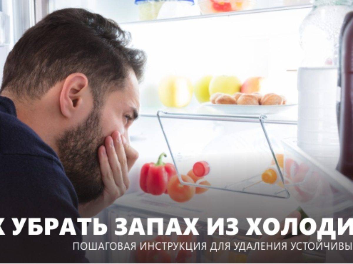Как убрать запах из холодильника за 6 шагов