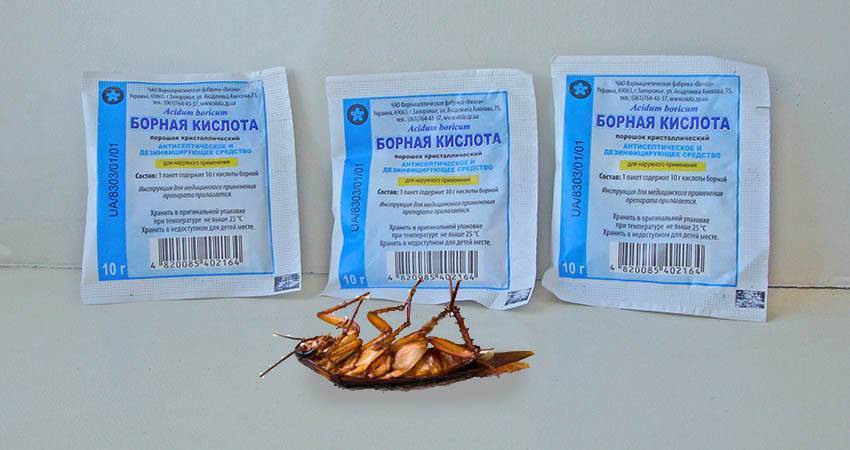 Борная кислота от тараканов: рецепт с яйцом, отзывы, пропорции