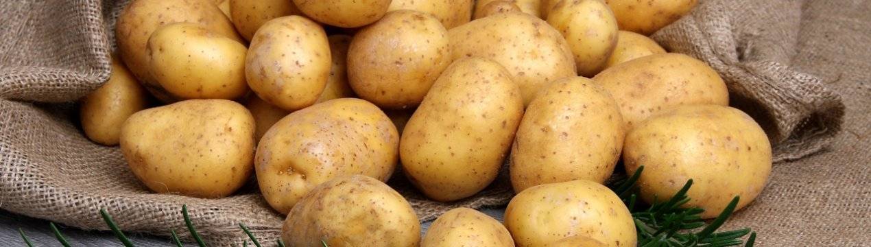 Описание самых ранних сортов картофеля