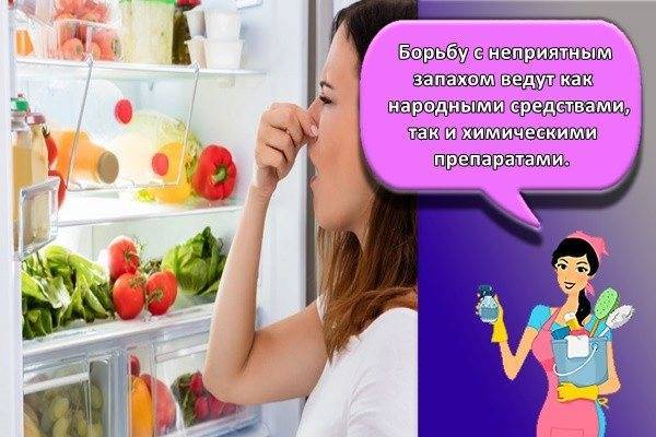 Чем помыть холодильник внутри после разморозки: от запаха (народные средства)