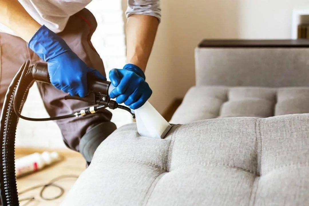 Как почистить диван: 6 шагов - zewa
