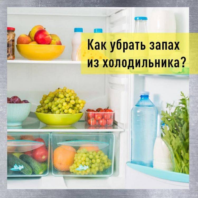 Как избавиться от запаха в холодильнике: причины и способы устранения - строительство и ремонт