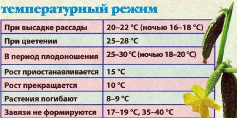 Температура в теплице: оптимальная, для рассады, воздуха, почвы, зимой, летом, как регулировать, влажность