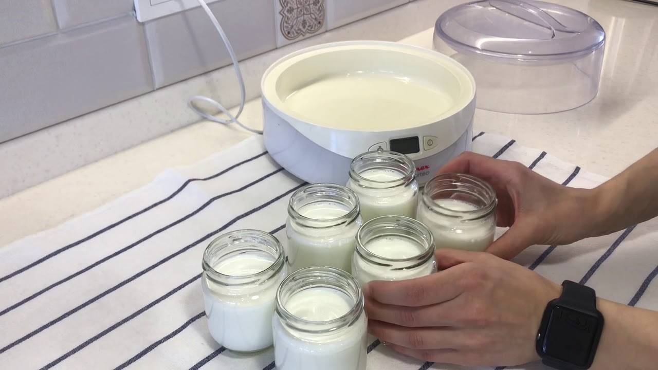 Как сделать йогурт в йогуртнице: интересные рецепты