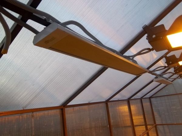 Обогреватель для теплицы: инфракрасный, энергосберегающий потолочный из поликарбоната - лампы для обогрева