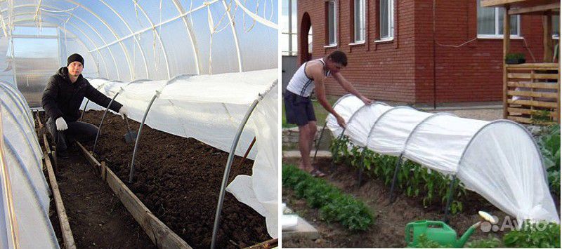 Украшаем огород с пользой — как самостоятельно изготовить парник «подснежник»