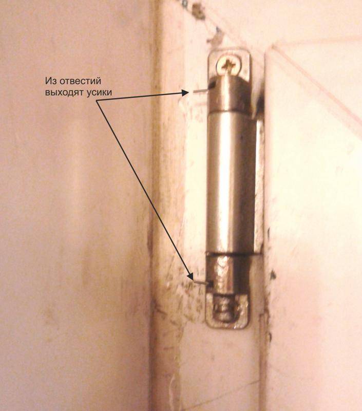 Как снять пластиковую дверь с петель на балконе: инструкция