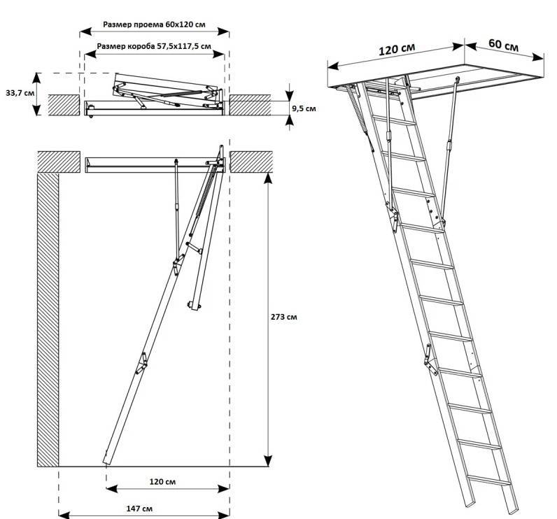 Как сделать лестницу на чердак своими руками: чертежи установки с размерами