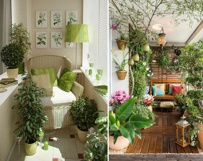 Зимний сад в квартире на балконе с растениями: фото дизайна