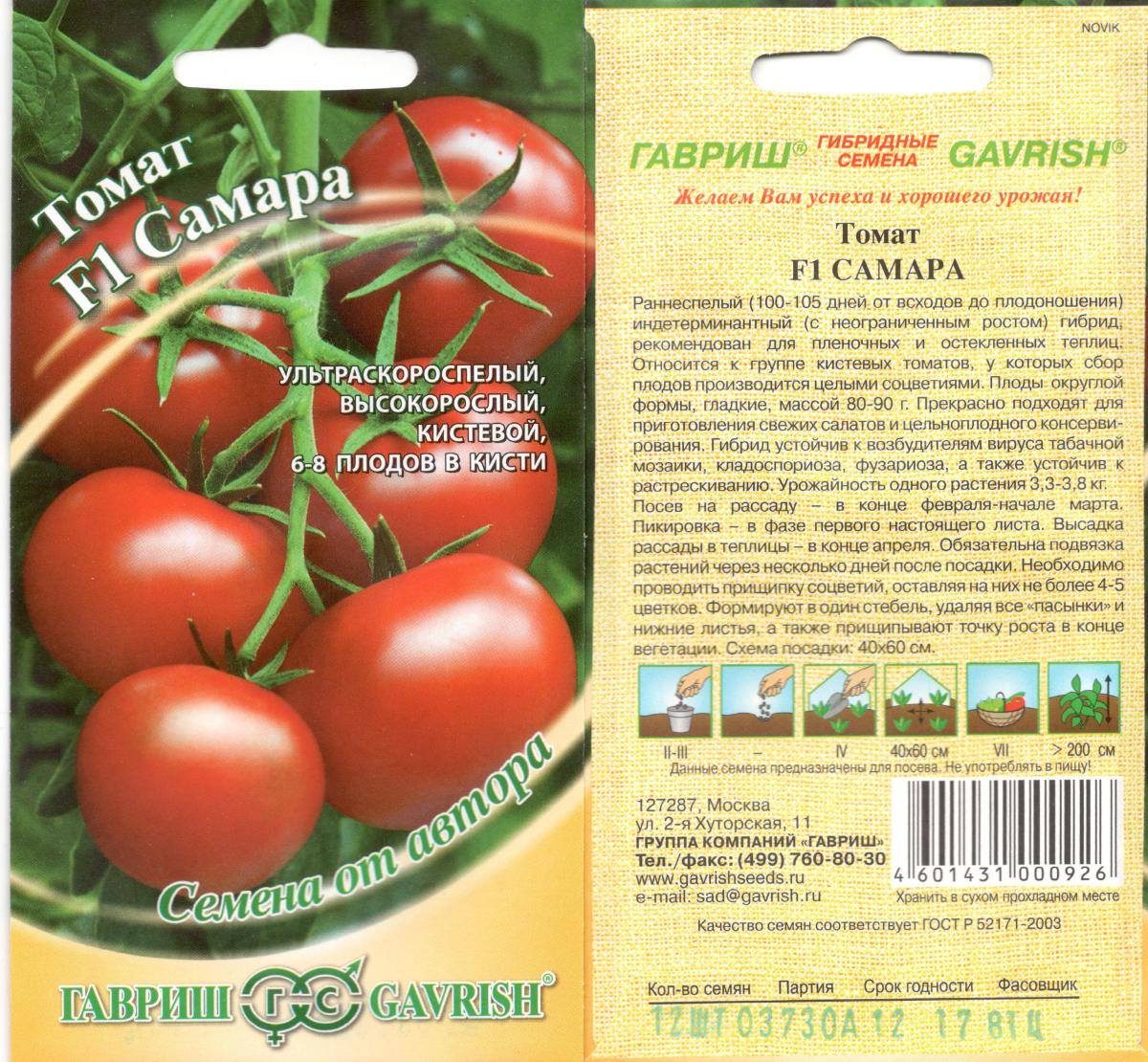 Высокорослые помидоры: самые лучшие урожайные сорта для теплиц и открытого грунта, выращивание, посадка и уход, названия