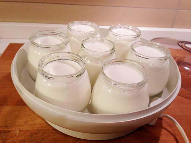 Йогурт в домашних условиях: как сделать, как приготовить, без йогуртницы, рецепт, натуральный, своими руками, закваска