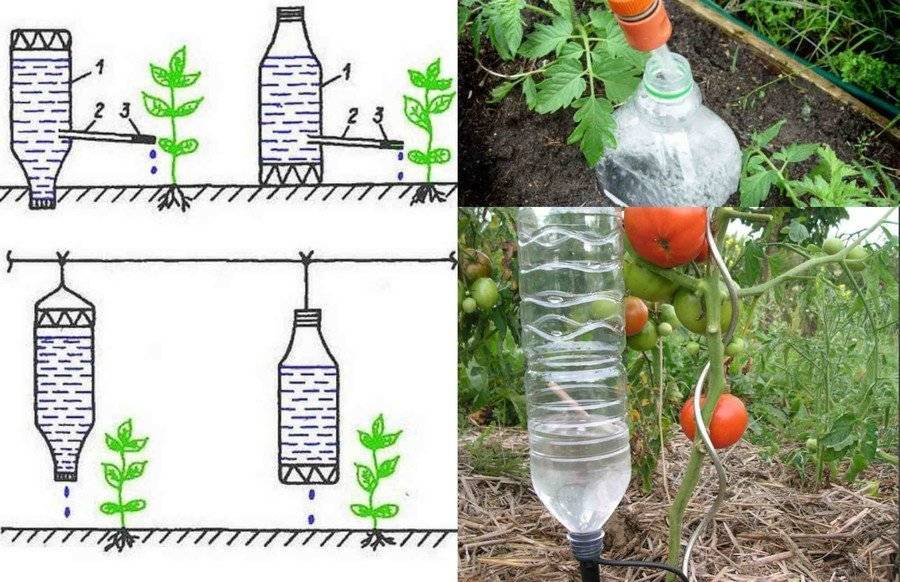 Как сделать полив из пластиковой бутылки :: инфониак