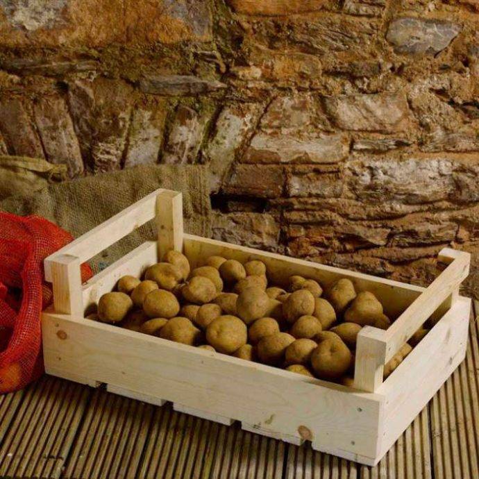 Как хранить картошку зимой в квартире и погребе: правила и лучшие способы, сроки