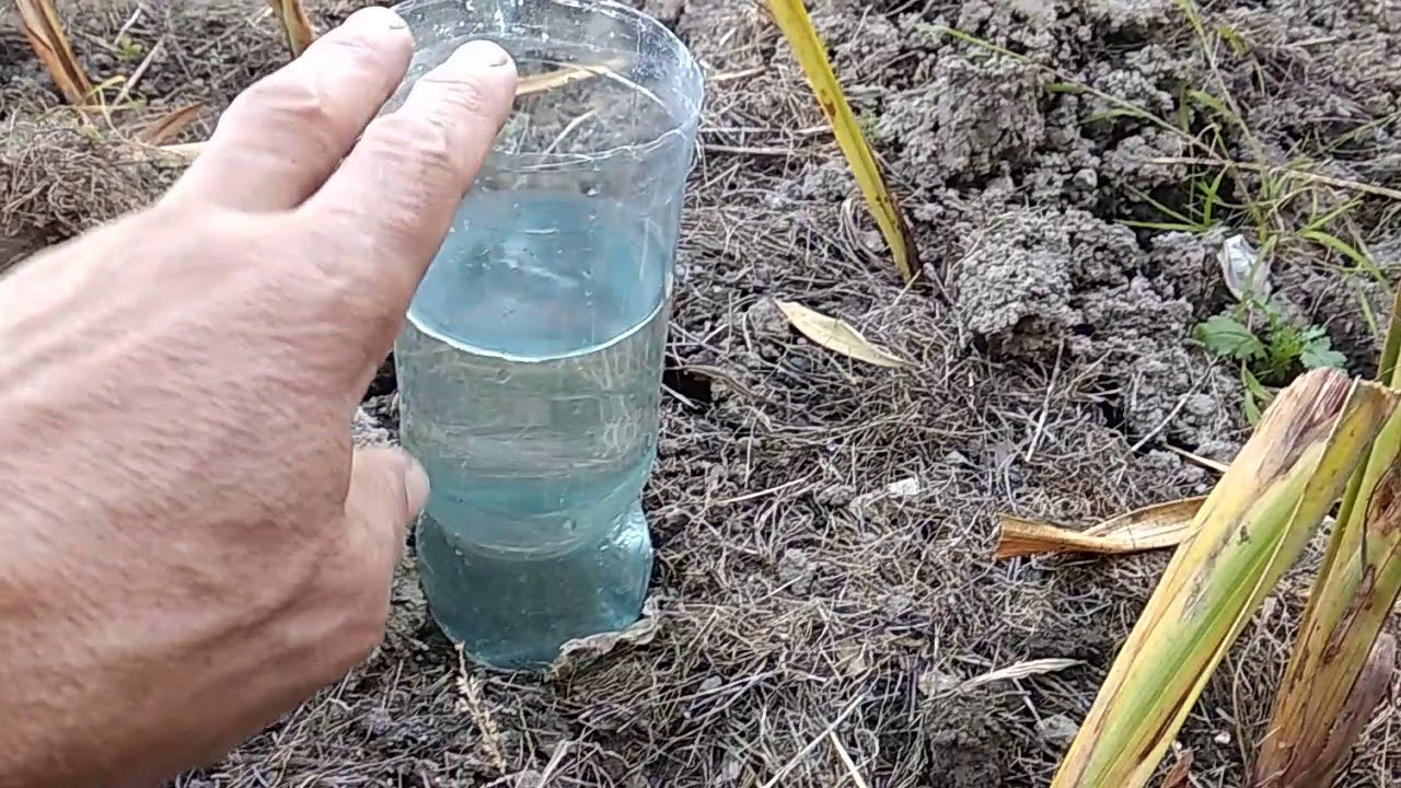 Капельный полив из пластиковых бутылок без затрат