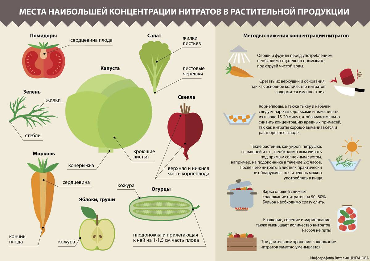 18 советов, как сохранять свежесть овощей и фруктов
