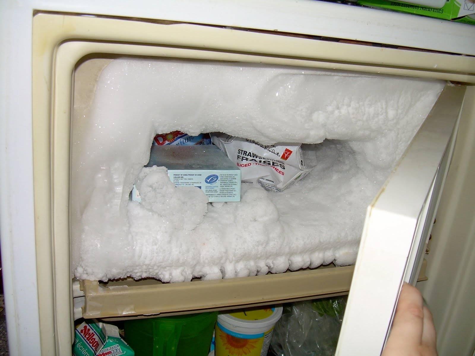 Капельная система разморозки холодильника это: размораживание камеры, что такое значит, автоматическая и ручная