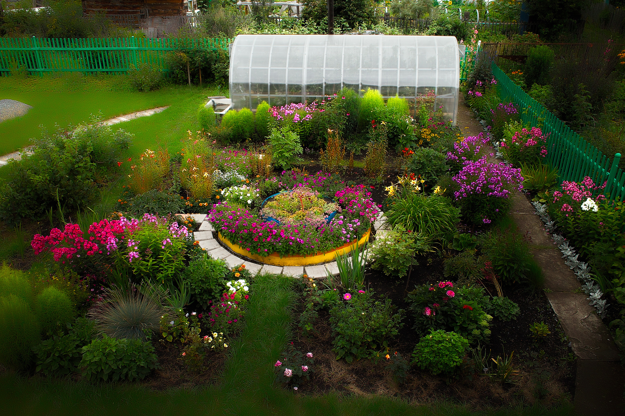 Цветы вокруг теплицы: что посадить, чтобы было красиво и удобно - сибирский сад