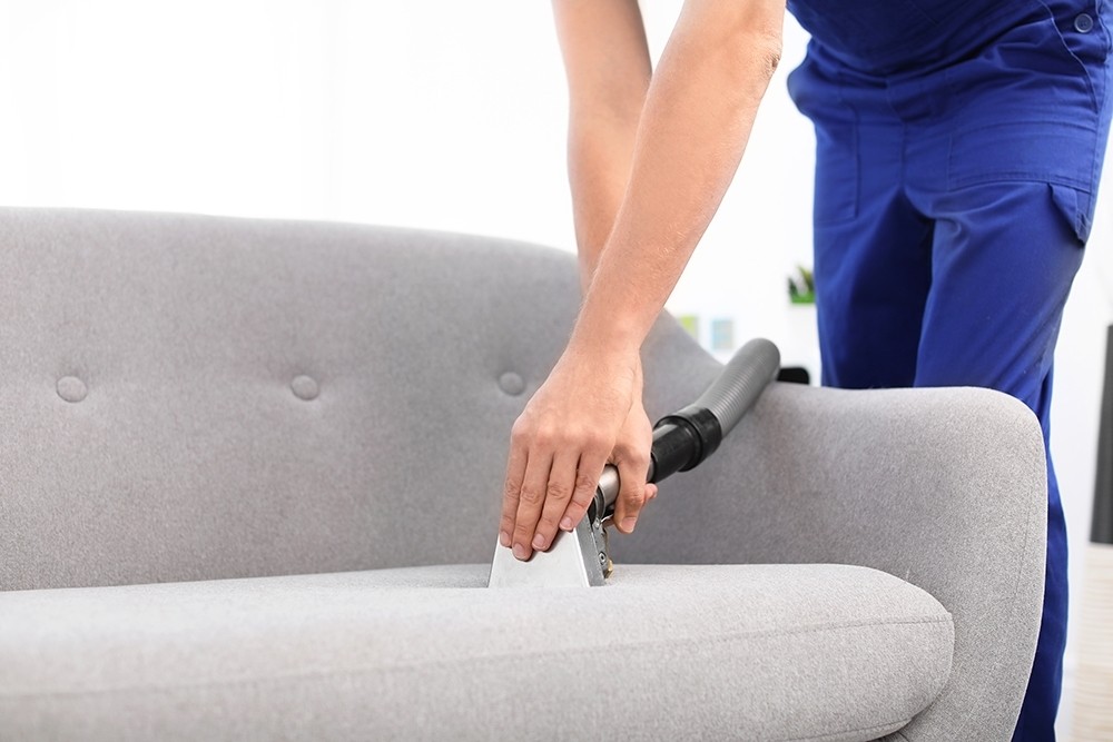 Химчистка дивана в домашних условиях своими руками: советы