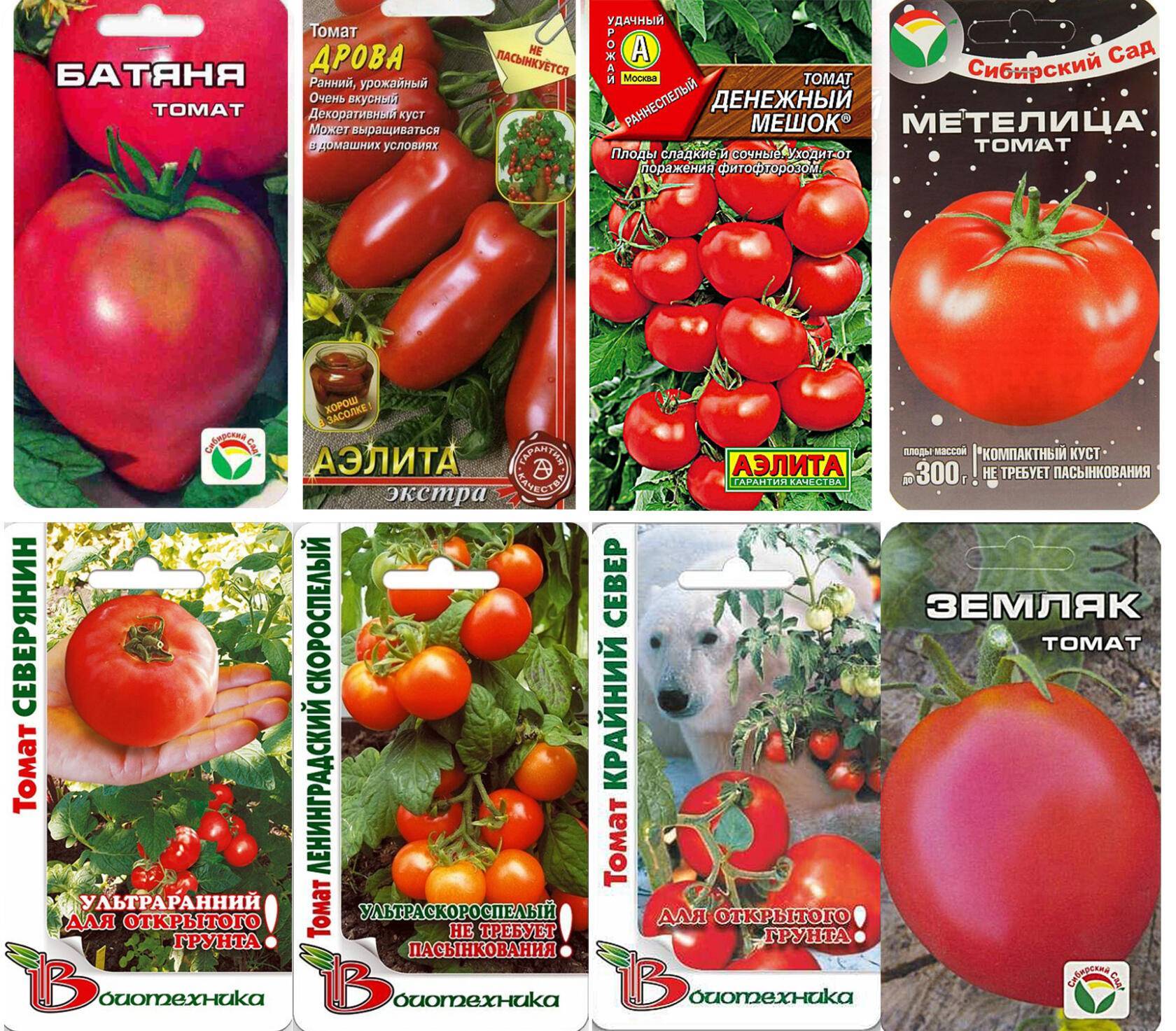 Лучшие сорта крупных помидор для теплиц: 4 вида