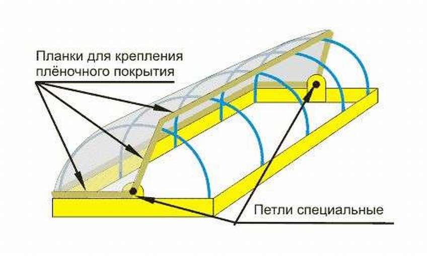 Парники из поликарбоната с открывающимся верхом своими руками чертежи и размеры