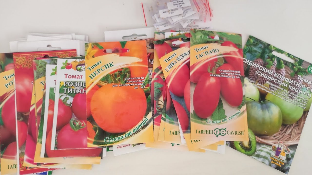 Какие помидоры лучше сажать в теплице, чтобы получить большой урожай - принципы выбора плюс советы успешных овощеводов