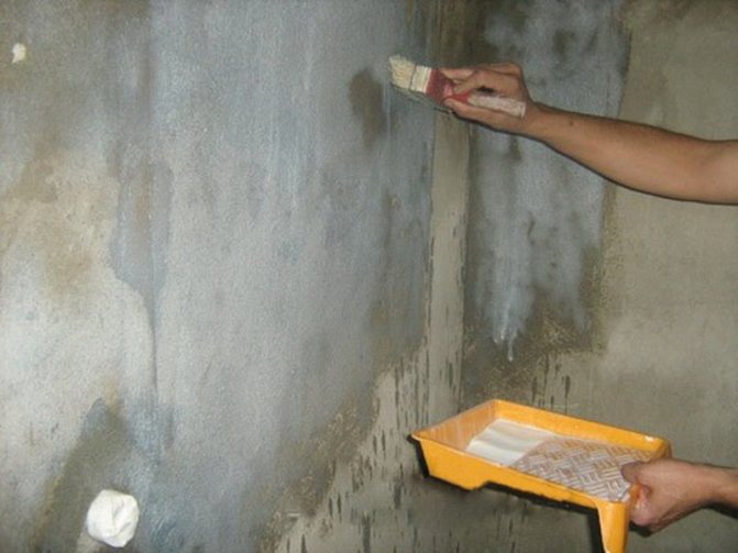 Грунтовка стен перед штукатуркой: нужно ли грунтовать, как подобрать пропитку, последовательность работ