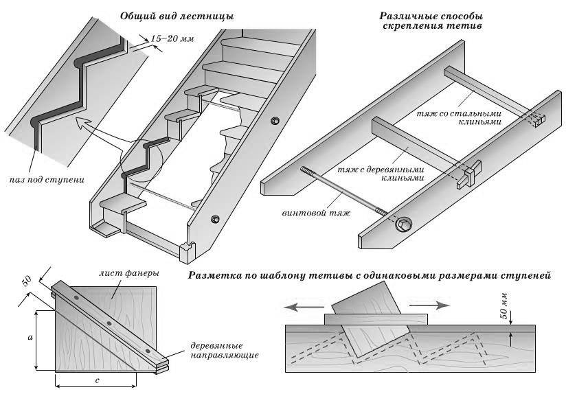 Лестницы с изогнутыми тетивами: как гнуть основание ступенек