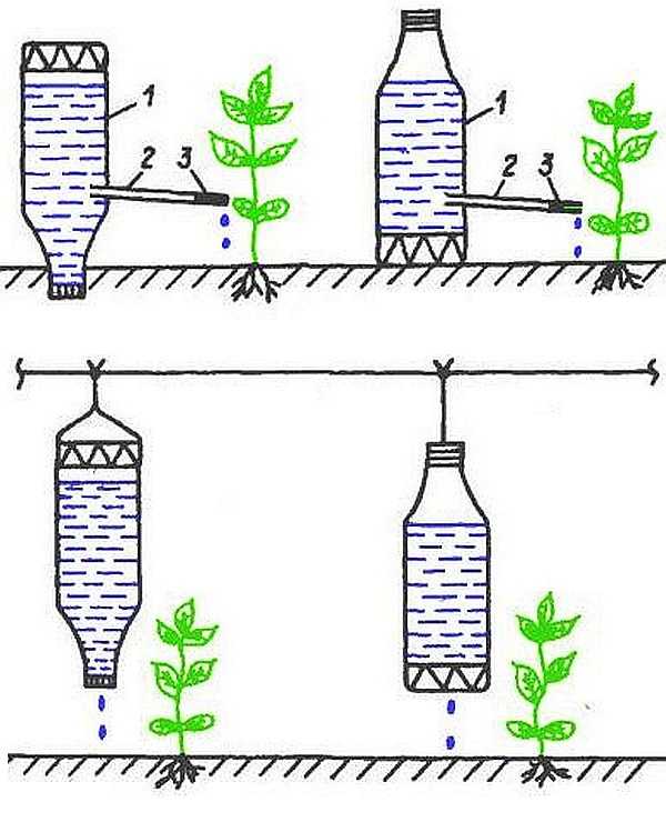Капельный полив из пластиковых бутылок: материалы, пошаговый алгоритм обустройства