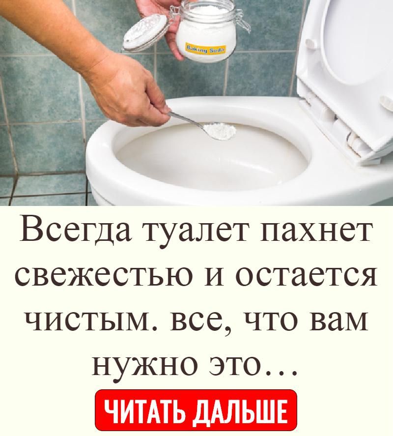 Съесть туалет. Нужен туалет.