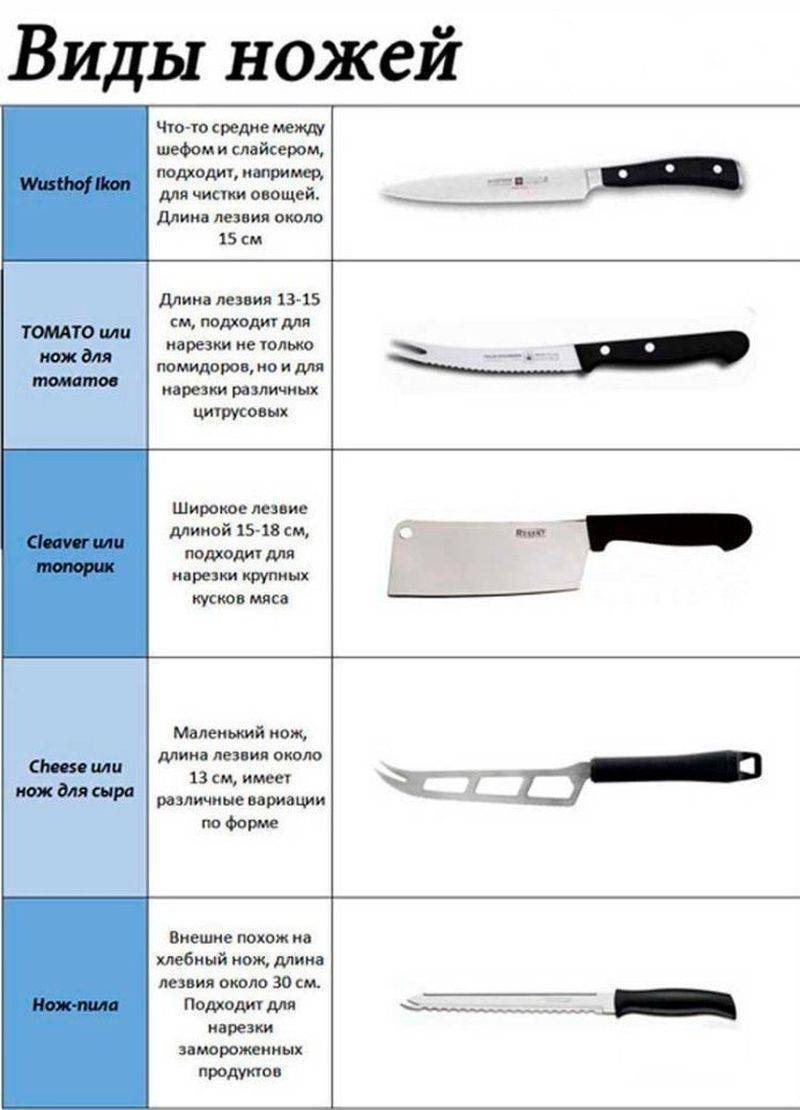 Основные виды кухонных ножей. давайте разберемся, какой нож для чего нужен? | интернет-магазин nozhikov.ru
