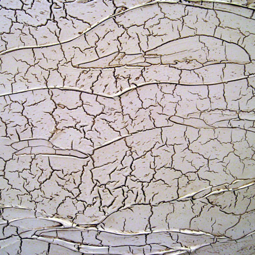 Декоративная краска для стен: как создать эффект трещин, камень, мрамор, структуру дерева (фото, видео нанесения)