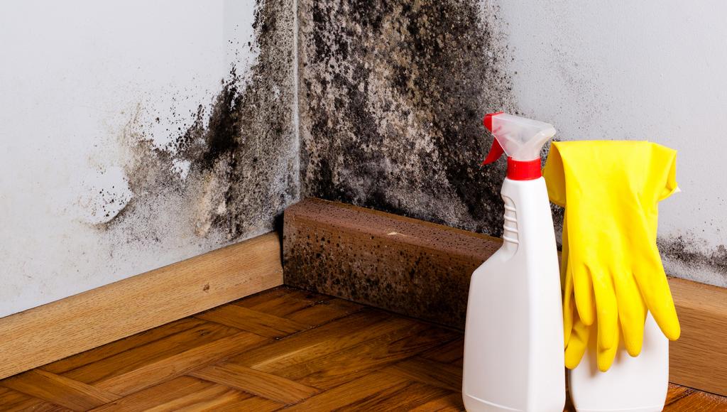 Как избавиться от запаха краски в квартире после ремонта быстро