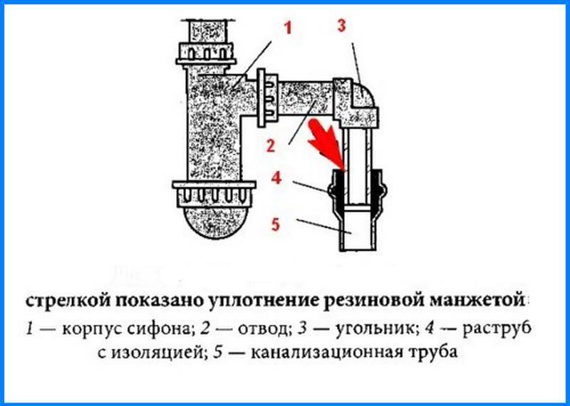 Устройство сифона для раковины на кухне в разрезе с описанием и фото