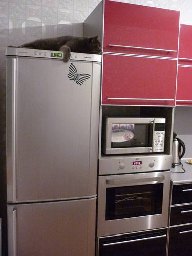 Холодильник на кухне: куда поставить правильно, как вписать его в интерьер