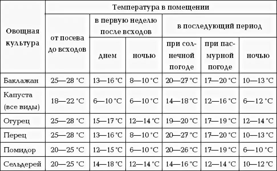 Советы специалистов: какая температура должна быть в теплице