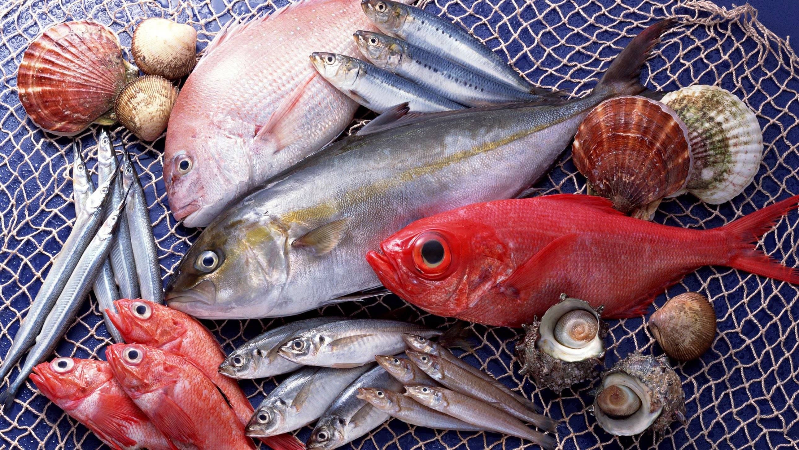 Какую рыбу нельзя есть: 9 видов, от которых лучше отказаться