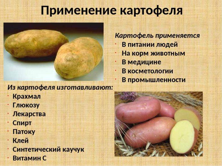 Полезные и неожиданные способы применения картофеля в быту