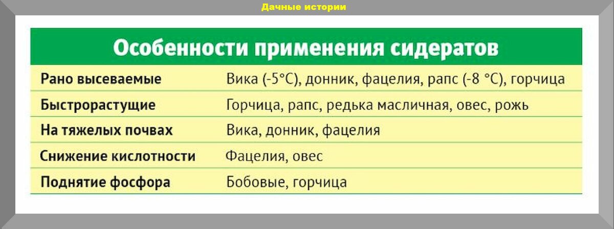 Сидераты осенью под зиму: какие и когда сеять, нужно ли перекапывать