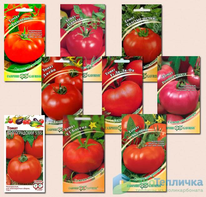 ✅ самые лучшие сорта томатов для теплицы на урале: топ-15 лучших сортов и их описание с фото - tehnoyug.com