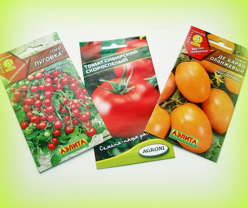 Семена томатов для теплицы из поликарбоната