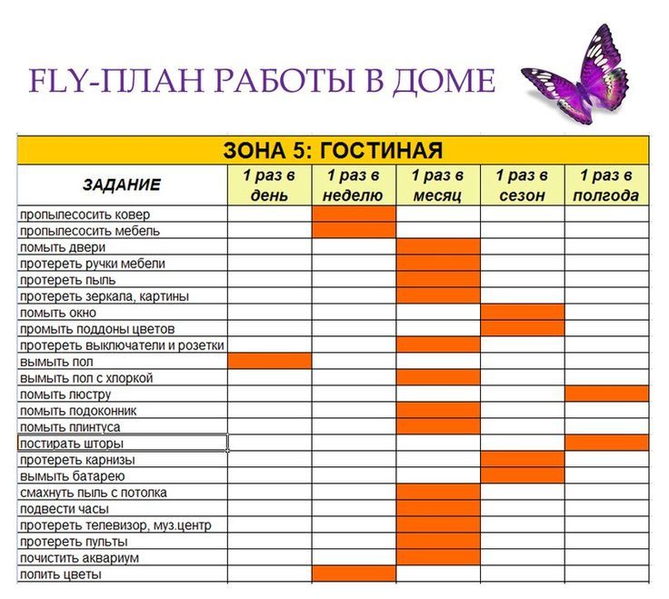 Флай леди на русский лад | страж чистоты