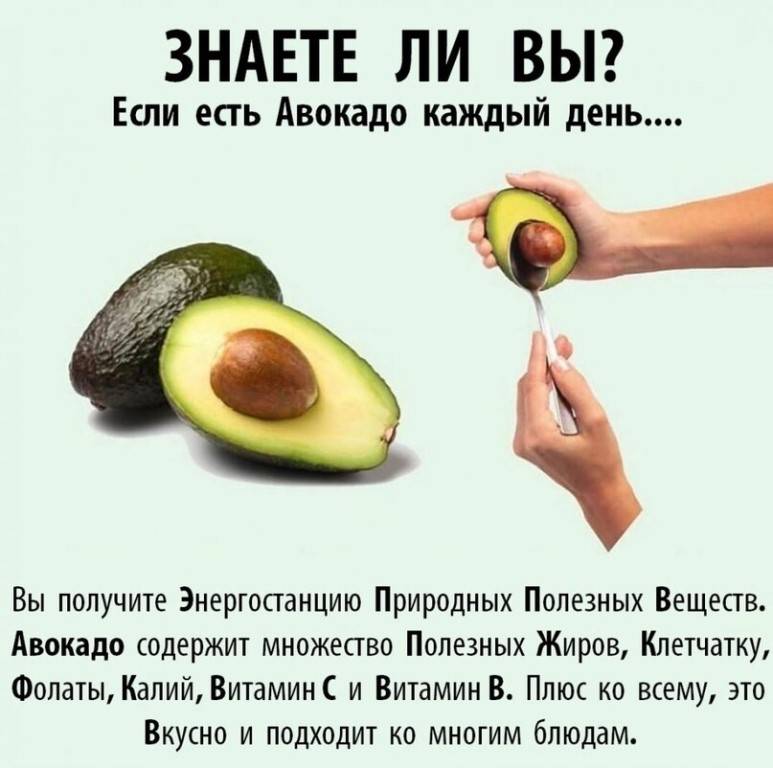 С чем сочетается авокадо лучше всего и как его есть правильно для здоровья?