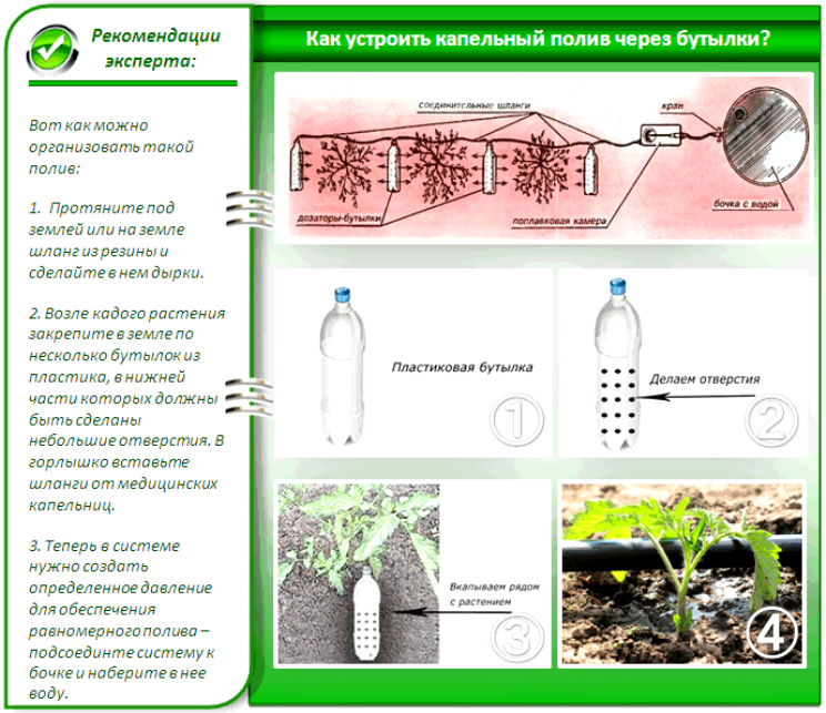 Капельная система полива огурцов своими руками: как сделать, сколько воды нужно огурцам, как правильно поливать