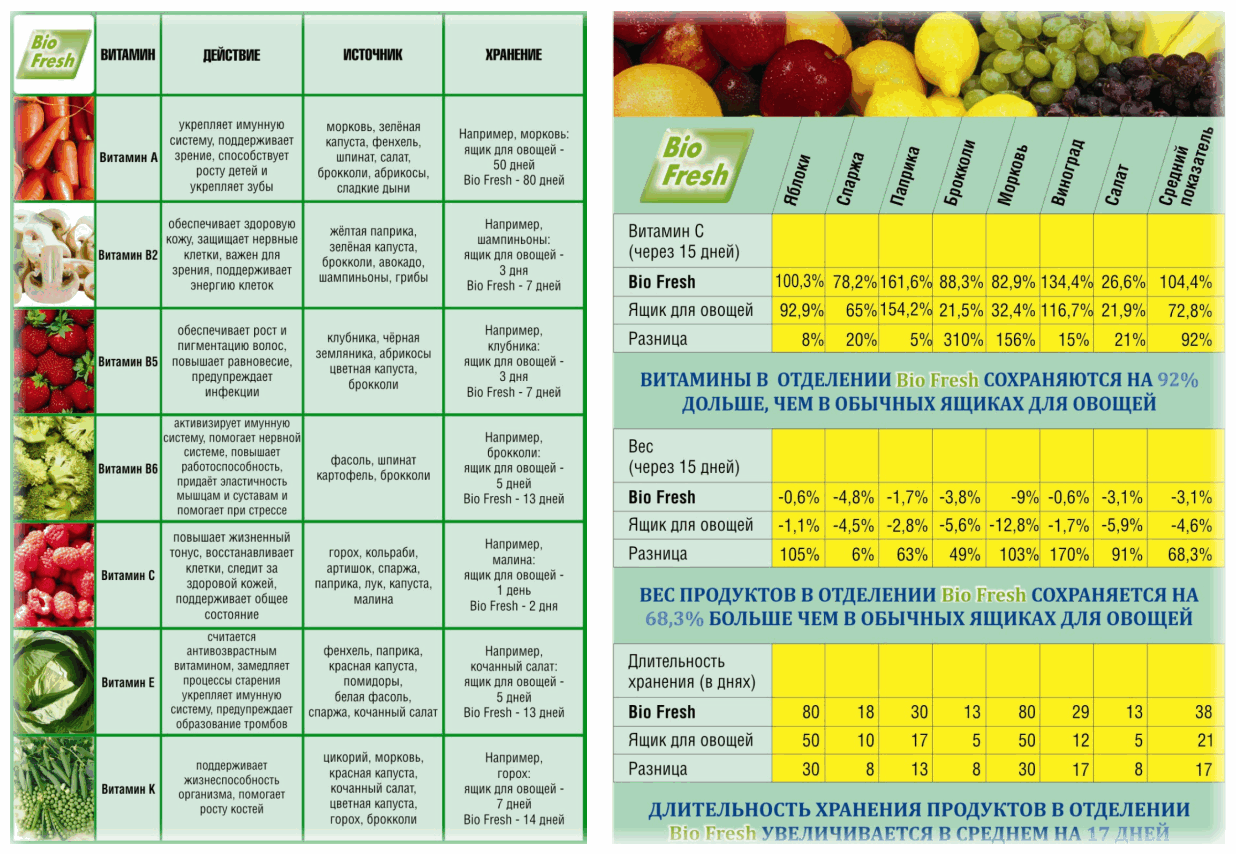 Как и где правильно хранить овощи и фрукты в холодильнике: температура хранения зелени, чеснок зимой