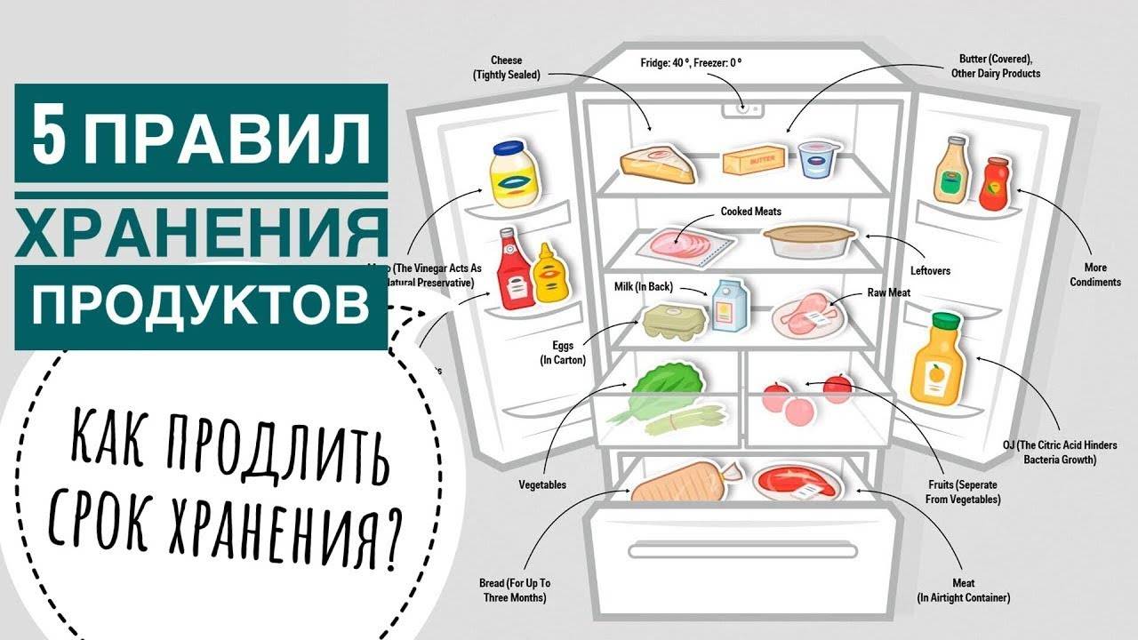 Правильное хранение продуктов в холодильнике по полкам с фото пошагово