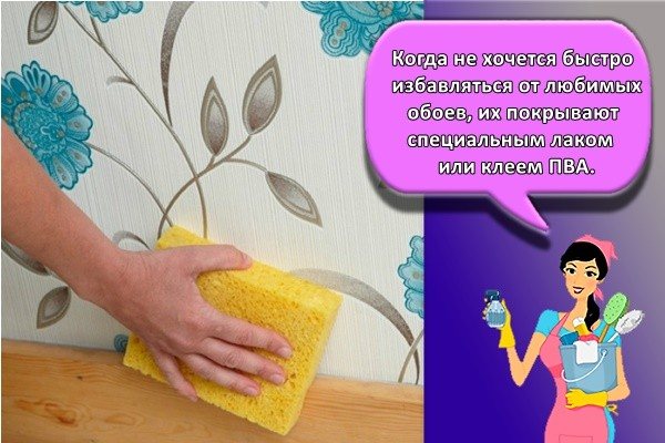 Как выбрать недорогие моющиеся обои для кухни + фото